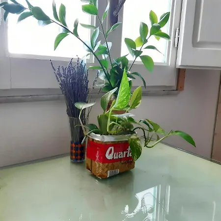 Casa vacanze Curte Verde *